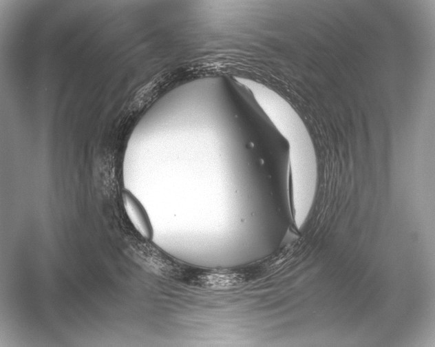 X0000051900615200507222044