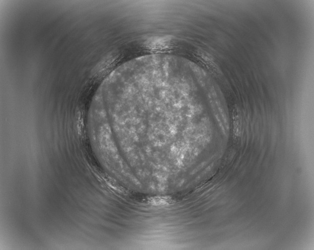 X0000051900618200507222044