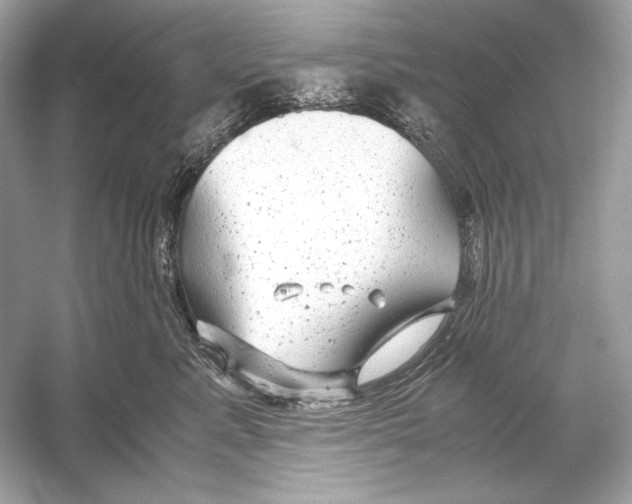 X0000051900619200507222044