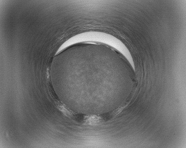 X0000051900621200507222043