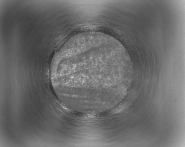 X0000051900624200507222043