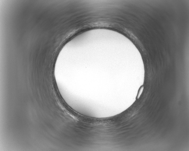 X0000051900625200507222043