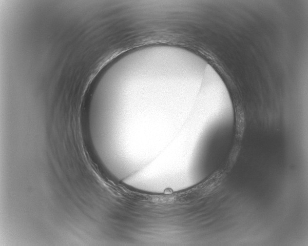X0000051900626200507222043