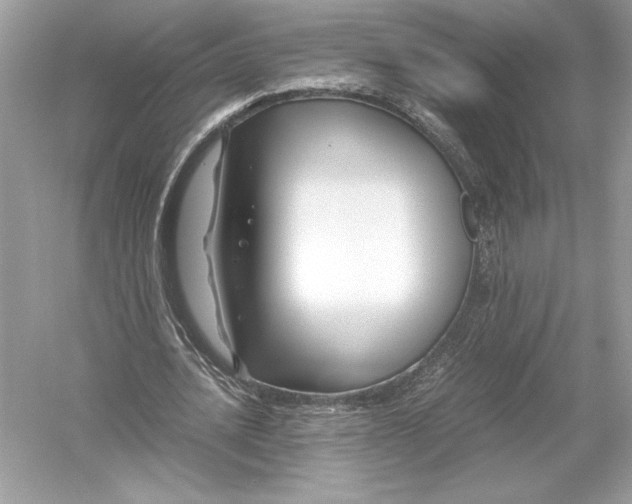 X0000051900628200507222043