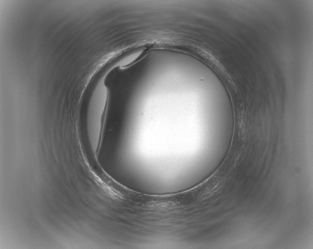 X0000051900629200507222043
