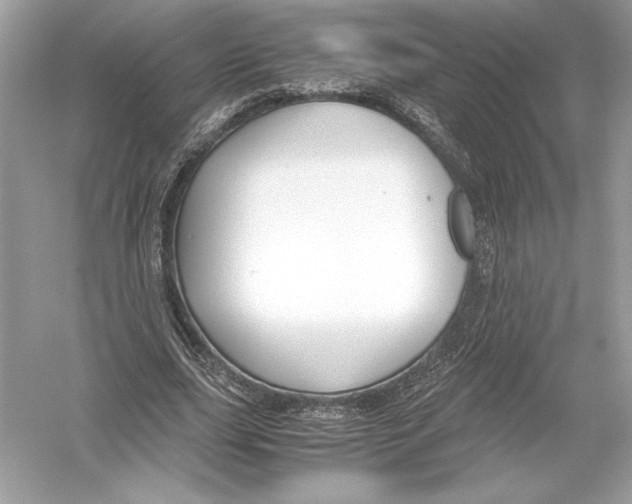 X0000051900631200507222043