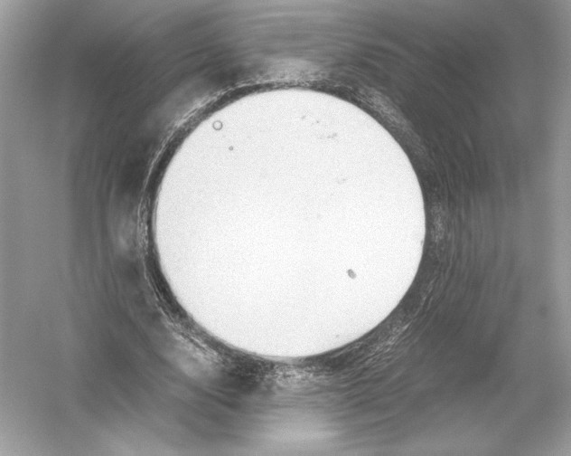 X0000051900632200507222043