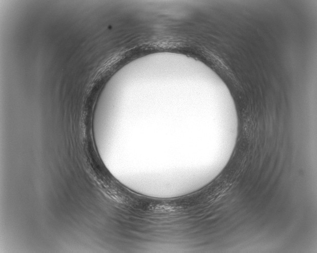 X0000051900635200507222043
