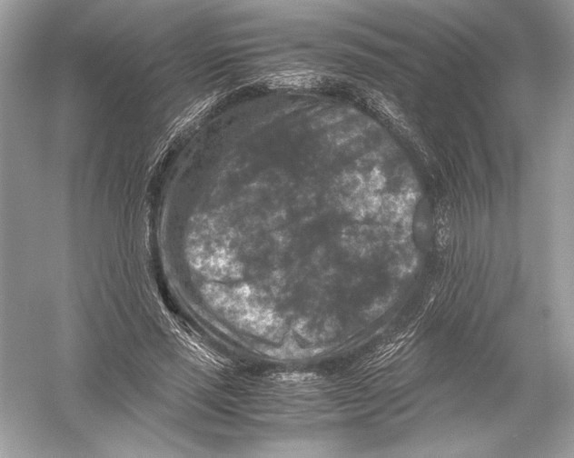 X0000051900637200507222043