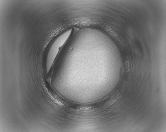X0000051900638200507222043
