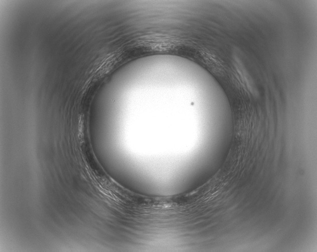 X0000051900646200507222043