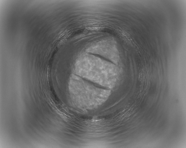 X0000051900647200507222043