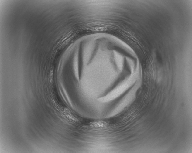 X0000051900652200507222043