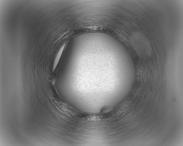 X0000051900656200507222043