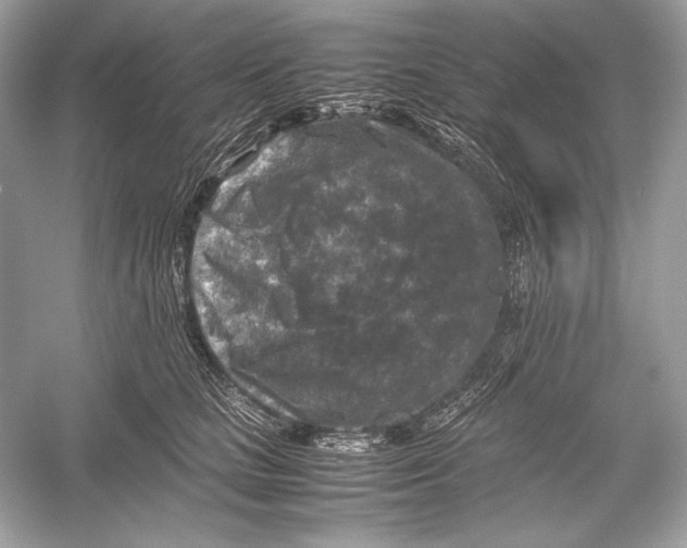 X0000051900661200507222043
