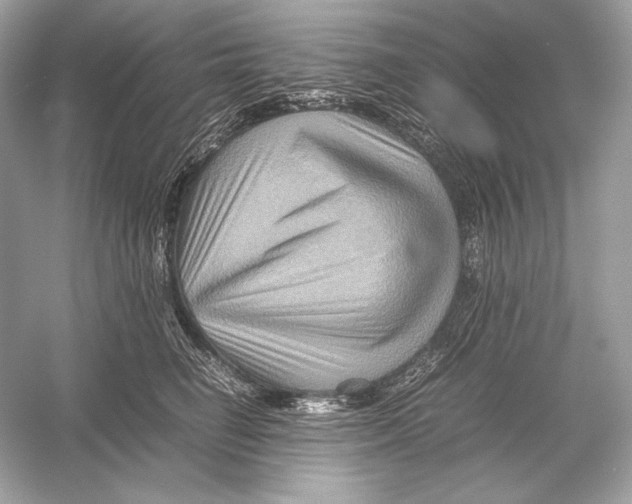 X0000051900662200507222043