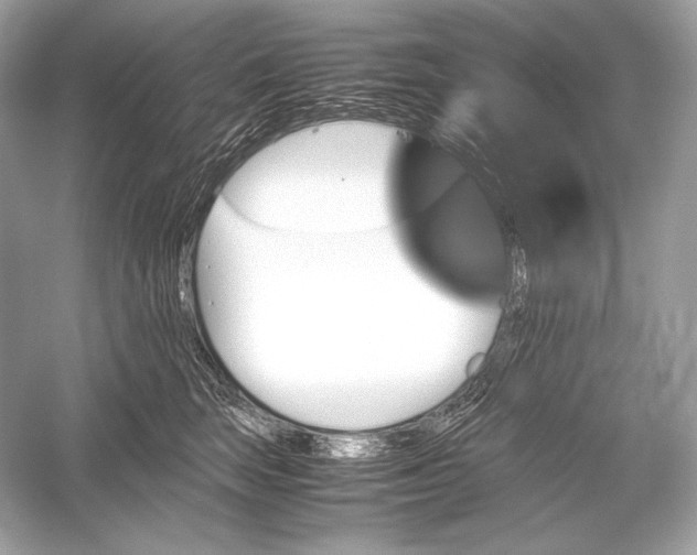 X0000051900663200507222043