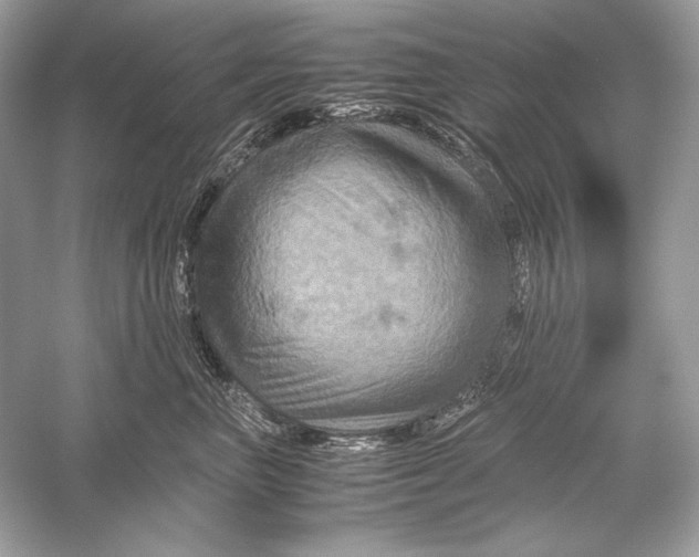 X0000051900667200507222043