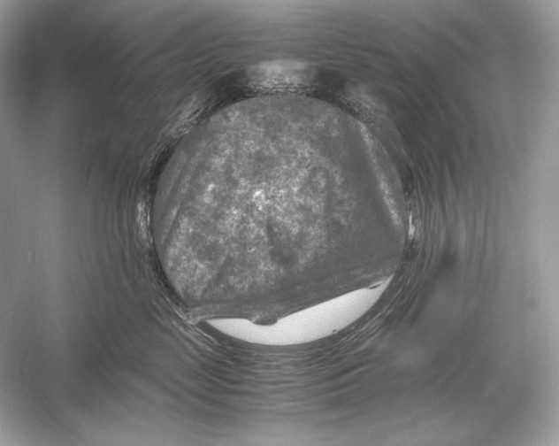X0000051900669200507222043