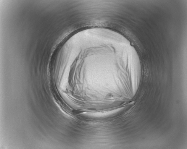 X0000051900674200507222043
