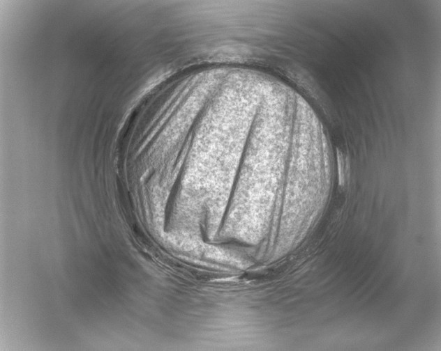 X0000051900675200507222043