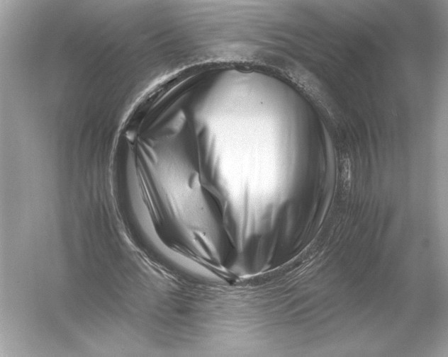 X0000051900676200507222043