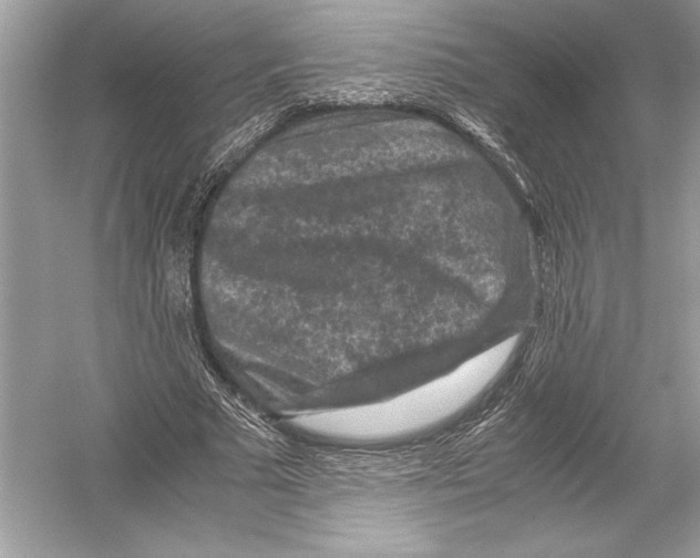 X0000051900681200507222042