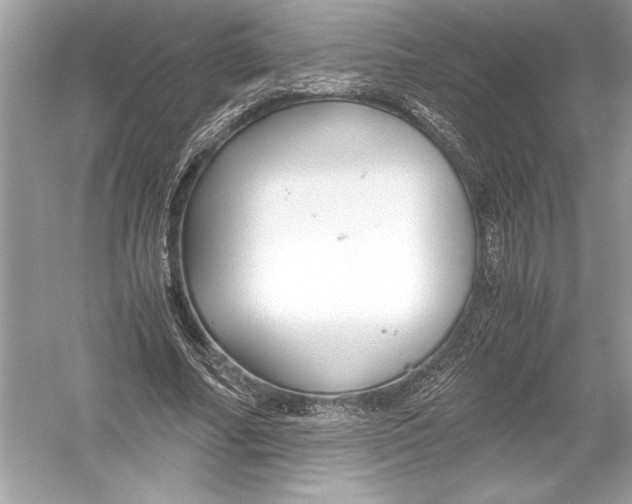 X0000051900682200507222042