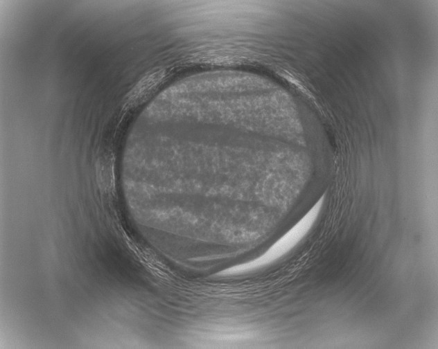 X0000051900685200507222042