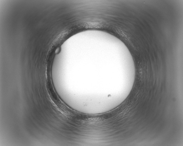X0000051900686200507222042