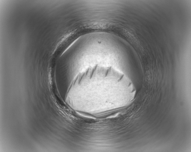 X0000051900688200507222042