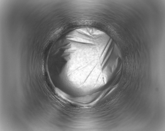 X0000051900692200507222042