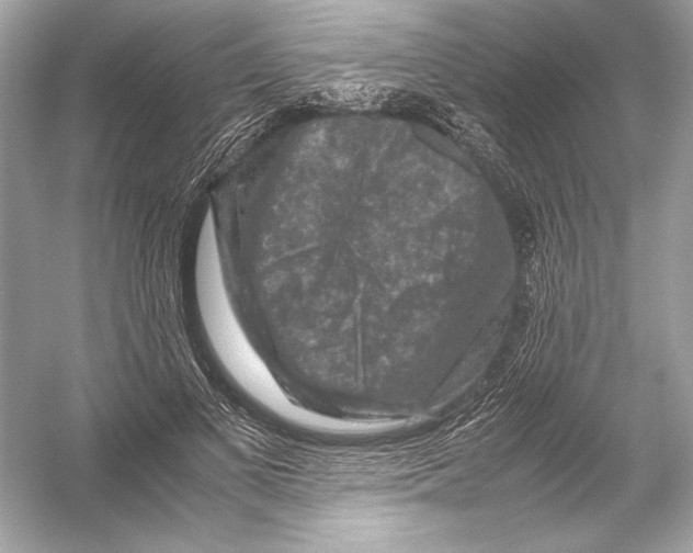 X0000051900693200507222042