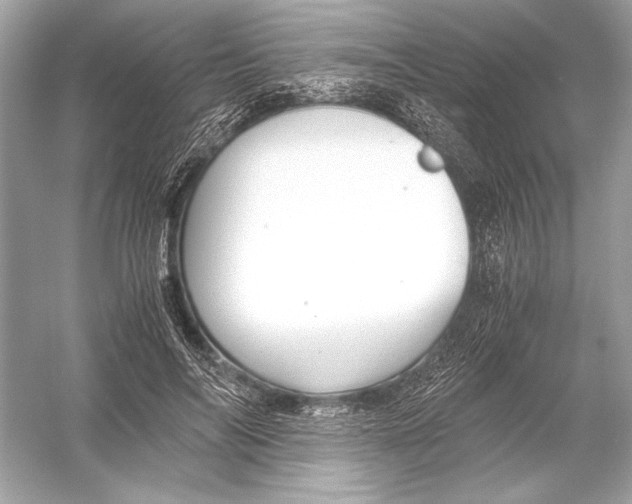 X0000051900694200507222042