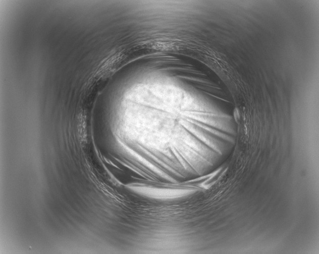 X0000051900696200507222042