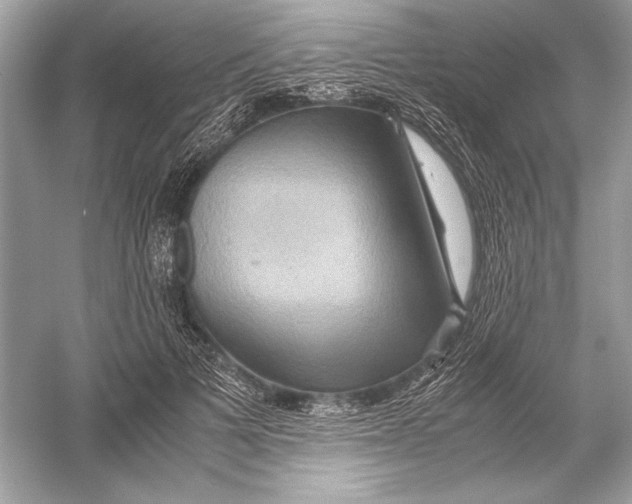 X0000051900697200507222042