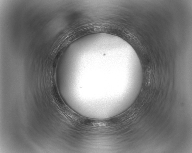X0000051900698200507222042