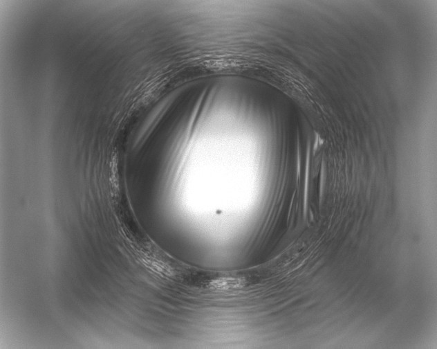 X0000051900700200507222042