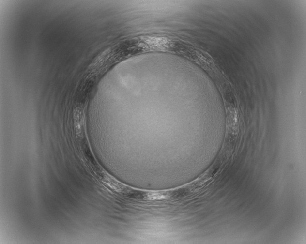X0000051900701200507222042