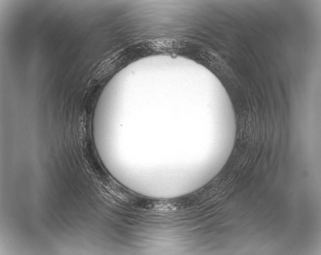 X0000051900702200507222042