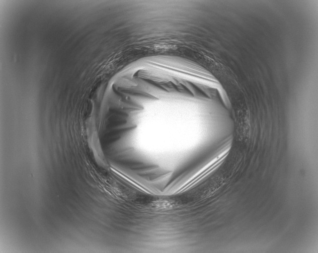 X0000051900704200507222042
