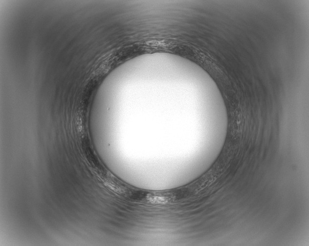 X0000051900706200507222042