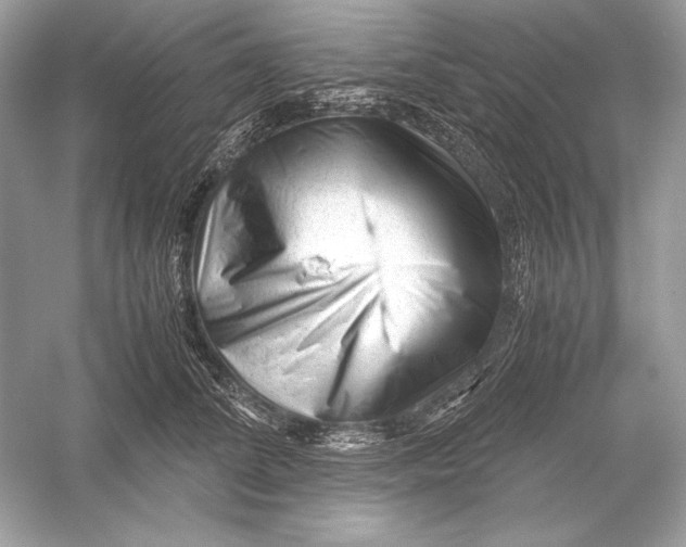 X0000051900708200507222042