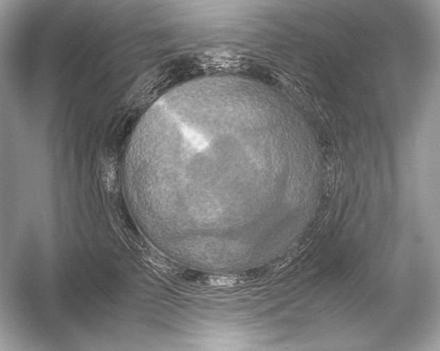 X0000051900709200507222042
