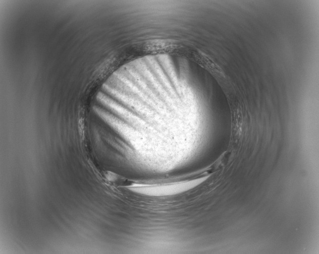 X0000051900716200507222042