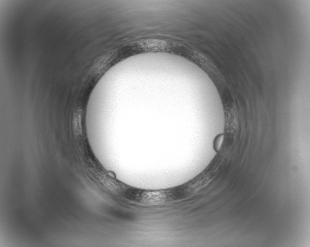 X0000051900717200507222042