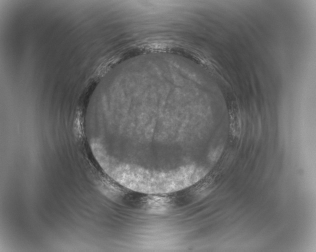 X0000051900718200507222042