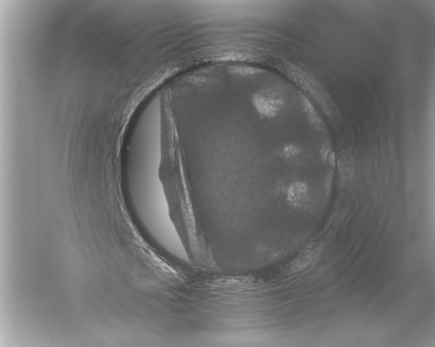 X0000051900721200507222041