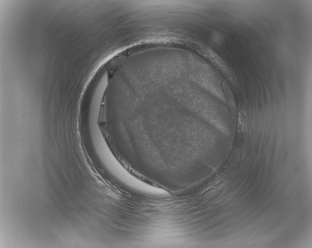 X0000051900724200507222041