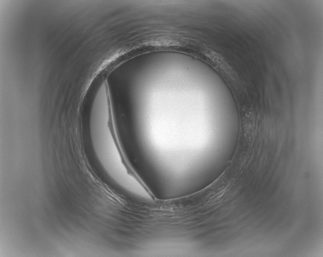 X0000051900727200507222041